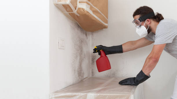 Professional Basement Mold Remediation technician working in Arizona, AZ